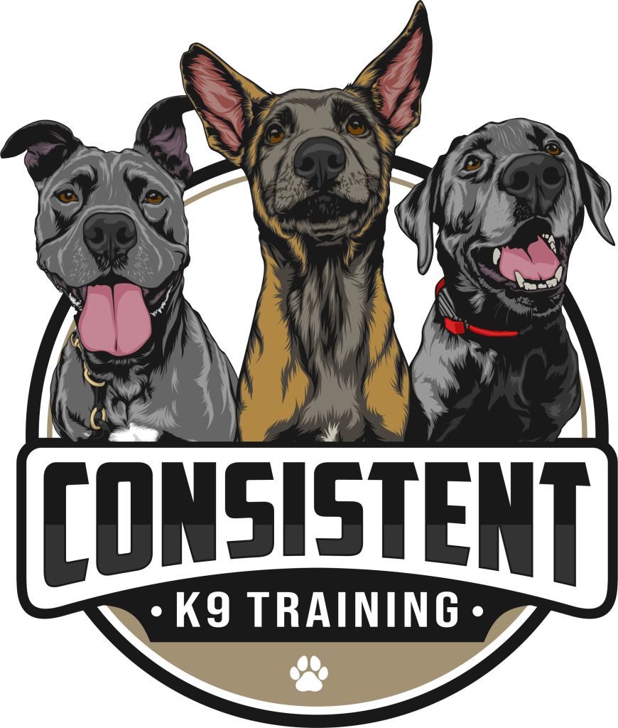 Consistent K9 Training logo
